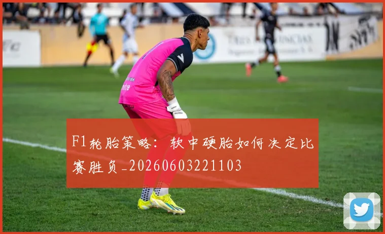 F1轮胎策略：软中硬胎如何决定比赛胜负_20260603221103