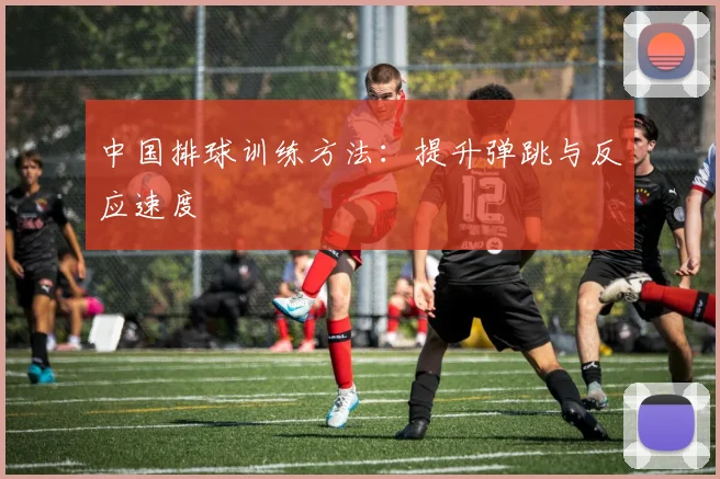 中国排球训练方法:提升弹跳与反应速度